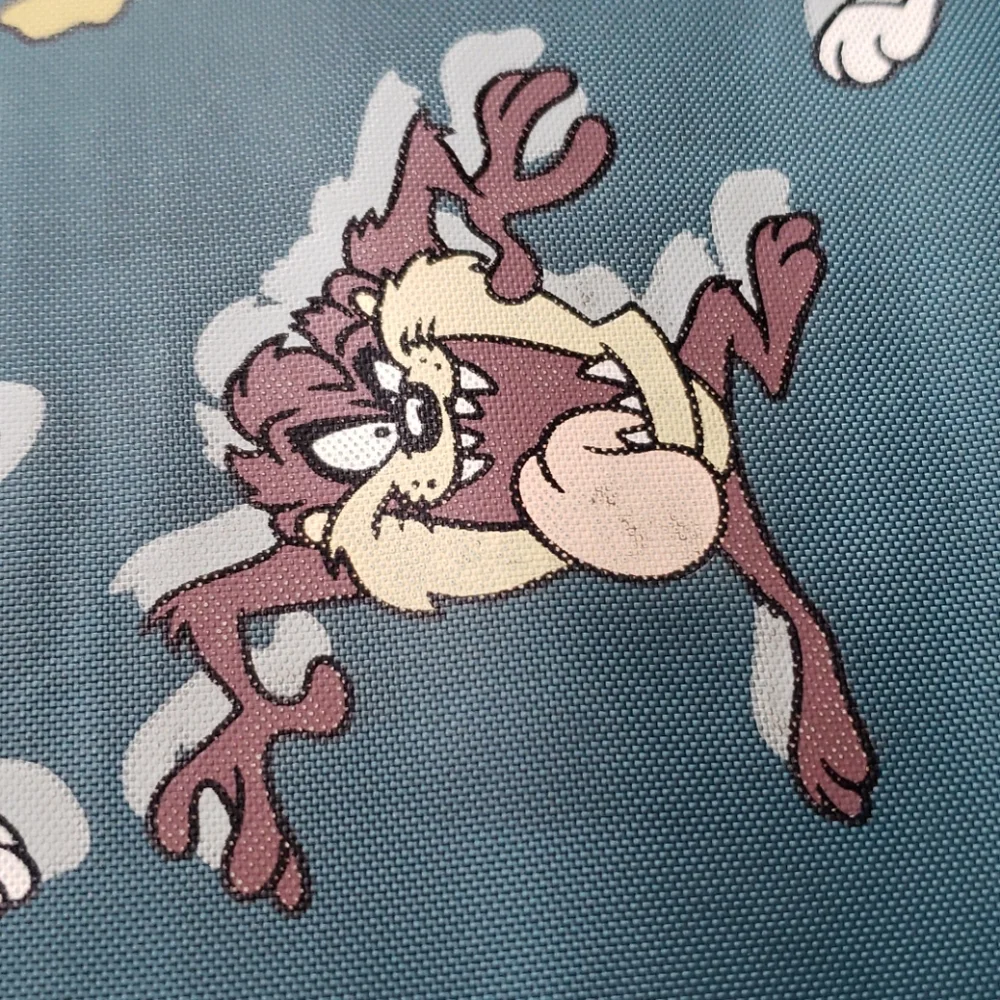 1998 Looney Tunes Folder